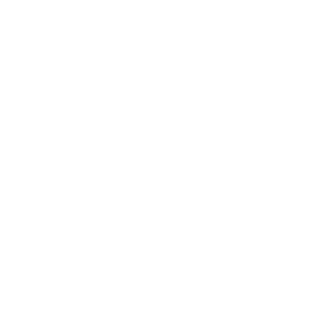 REDDO Translations